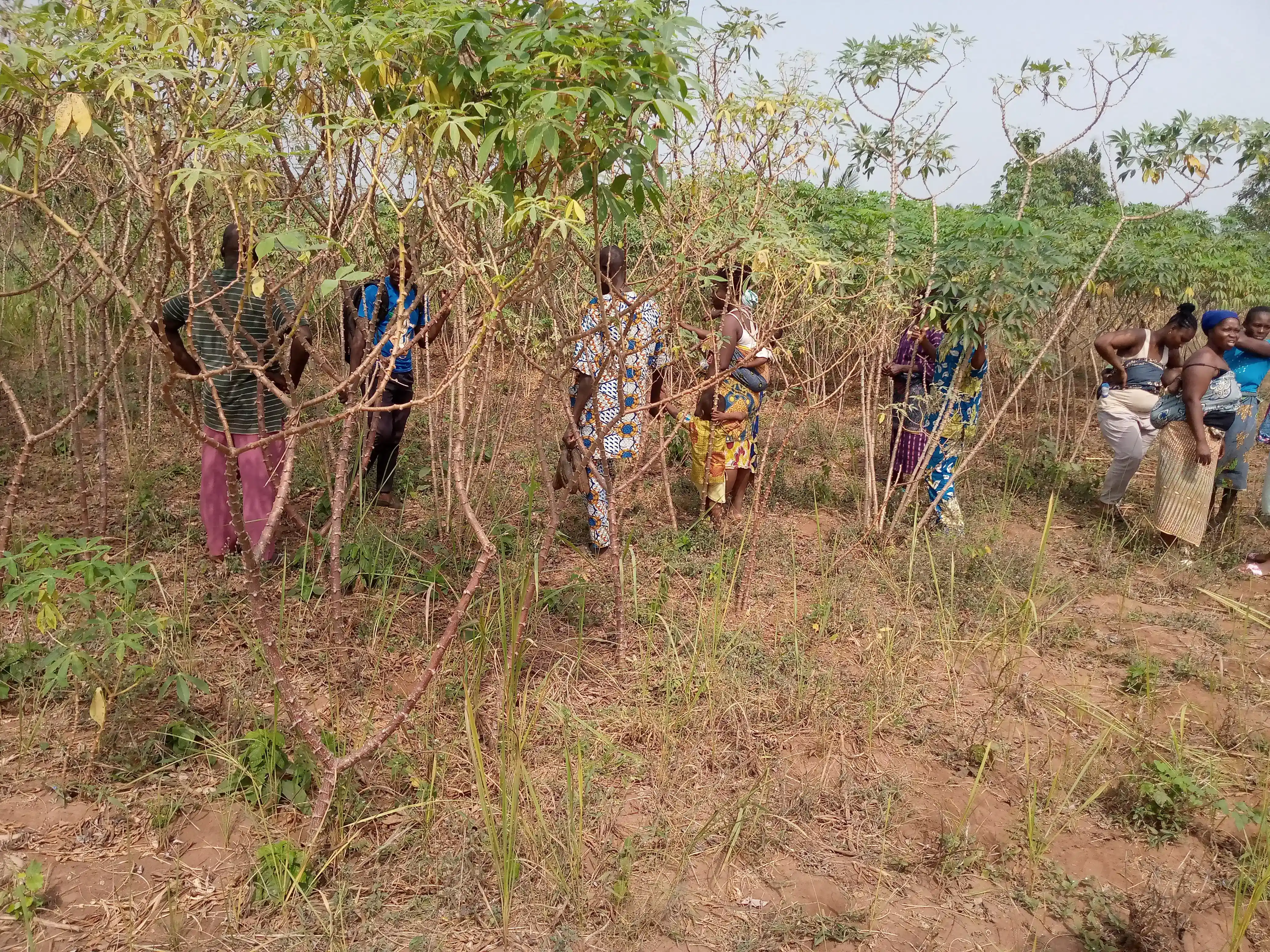 département agroecologie