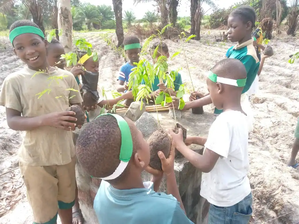 département education
